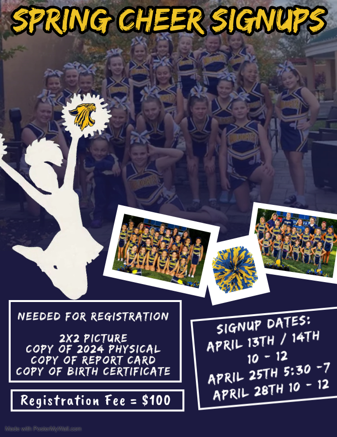 Copy of Cheerleader Camp Flyer Design Template - Made with PosterMyWall (4)